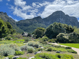 Venue for INTERNATIONAL LUXURY TRAVEL MARKET AFRICA: Kirstenbosch National Botanical Garden (Cape Town)
