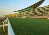 Lieu pour AL FARES - INTERNATIONAL EQUINE EXHIBITION: Meydan Racecourse (Duba)