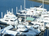 South Shore Harbour Marina (League City, TX) http://www.southshoreharbourmarina.com (en anglais)