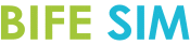 logo de BIFE - SIM 2024