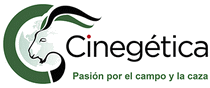 logo for CINEGTICA 2025