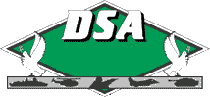 logo de DSA 2024