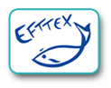 logo for EFTTEX 2024