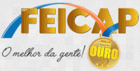 logo fr FEICAP 2024