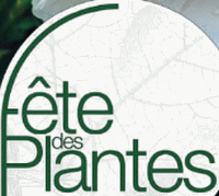 logo for FTE DES PLANTES DE SAINT-JEAN DE BEAUREGARD 2024