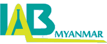 logo fr LAB MYANMAR 2024