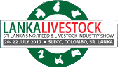 logo for LANKALIVESTOCK 2024