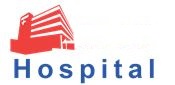 logo for VIETNAM HOSPITAL 2024