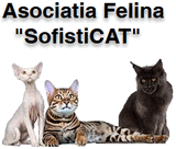 Alle Messen/Events von Asociata Felina 'SofistiCat'