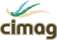 logo for CIMAG 2025