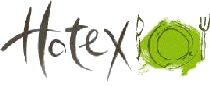 logo for HOTEX 2024